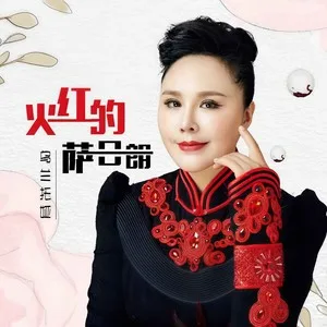 火红的萨日朗(DJ阿卓版)