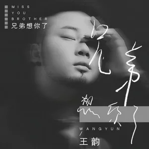 兄弟想你了(DJ沈念版)