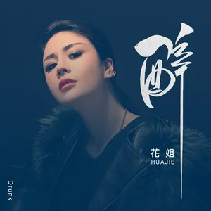 醉(DJ何鹏版)