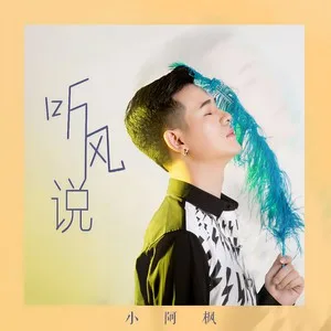 听风说(DJ沈念版)