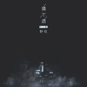 猜不透(DJ野性版)