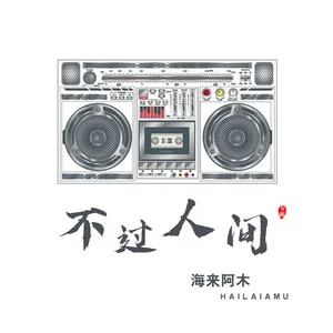 不过人间(DJ沈念版)