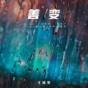 善变(DJ版)
