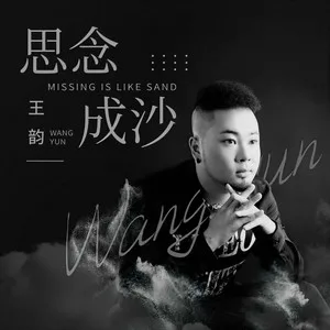 思念成沙(DJ何鹏版)