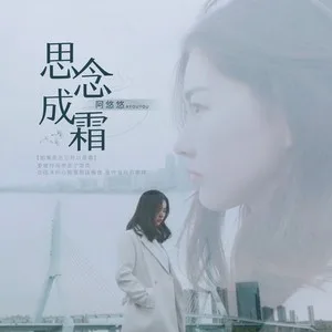 思念成霜(DJ沈念版)