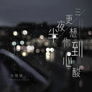 三更夜半想你到心酸(DJ阿卓版)