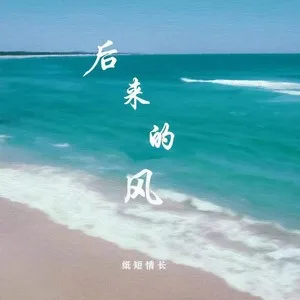 后来的风(DJ德朋版)