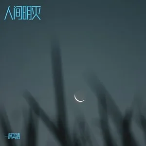 藏花笑（DJ默涵版）