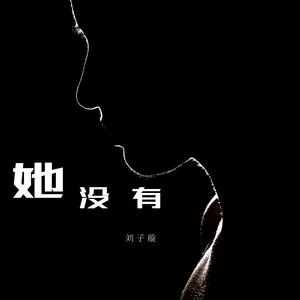 她没有（DJ版）