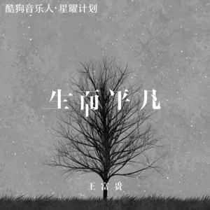 生而平凡(DJ版)
