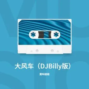 大风车（DJBilIy版）