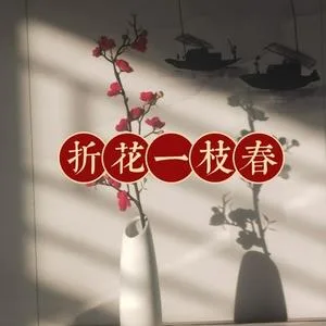 折花一枝春（DJ版）