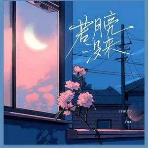 若月亮没来(DJ铁柱版)
