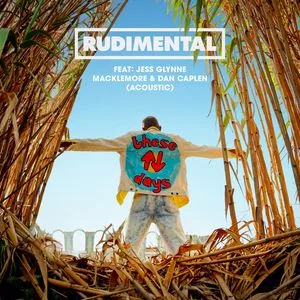 These Days(feat. Jess Glynne， Macklemore & Dan Caplen)