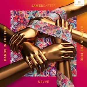 Hands in the Fire(Explicit)