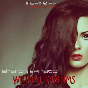 Wildest Dreams(Remixed)