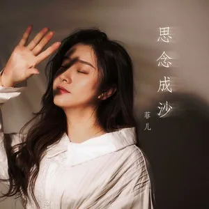思念成沙(DJ何鹏版)