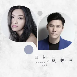 回忆总想哭(DJ何鹏版)