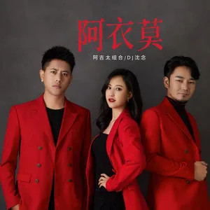 阿衣莫(DJ沈念版)