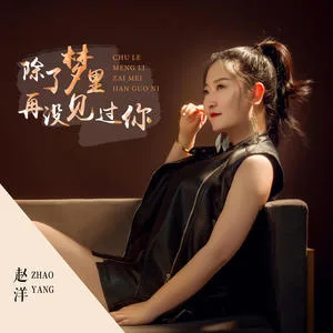 除了梦里再没见过你(DJ版)