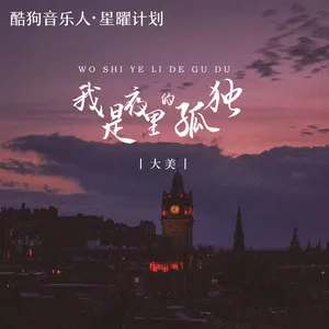 我是夜里的孤独(DJ九锐版)