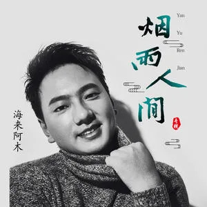 烟雨人间(DJ沈念版)
