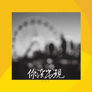 你没出现（DJheap九天版）