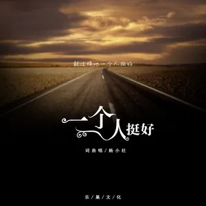 一个人挺好(DJ版)