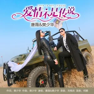 爱情不是传说(DJ何鹏版)