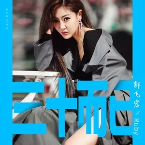 三十而已（DJ武圣雄版）