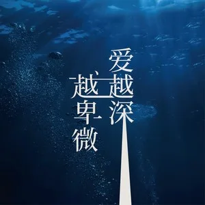 爱越深，越卑微（DJ武圣雄版）