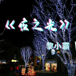 夜之光(DJ黎小霸版)