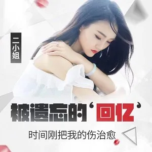 被遗忘的回忆（dj版）