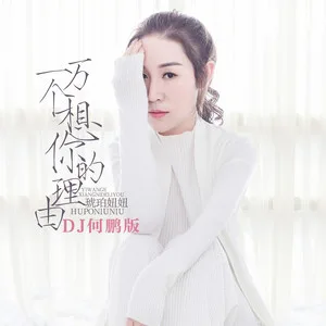 一万个想你的理由(DJ何鹏版)