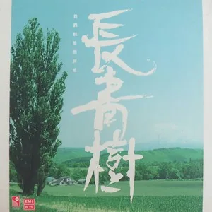 铁血丹心
