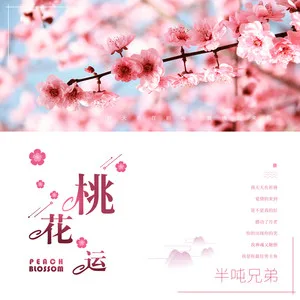 桃花运
