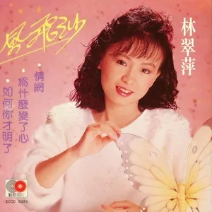 我太傻