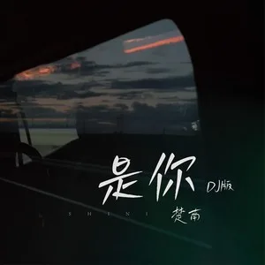 是你（DJ版）