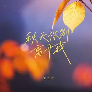 秋天你别离开我（DJ小鑫版）