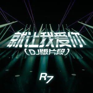 就让我爱你(DJ版片段)