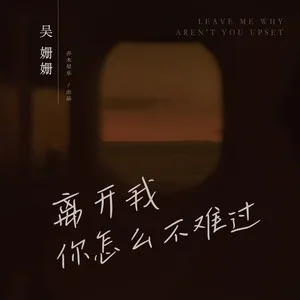 离开我，你怎么不难过(DJ小鑫版)