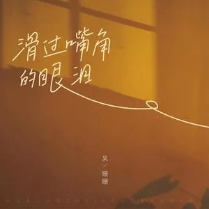 滑过嘴角的眼泪（DJ小鑫版）