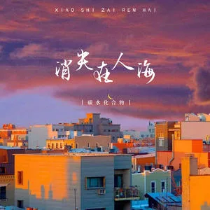 消失在人海(DJ傻白婷版)