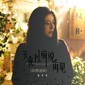 天亮以前说再见(DJ默涵版)