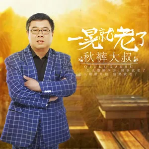一晃就老了(DJ何鹏版)