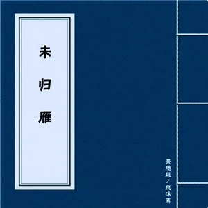 未归雁（DJ沈念版）(伴奏)