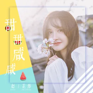 甜甜咸咸(DJ名龙版)