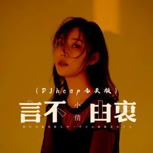 言不由衷(DJheap九天版)