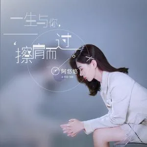 一生与你擦肩而过(DJ版)