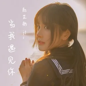 当我遇见你（DJ版）